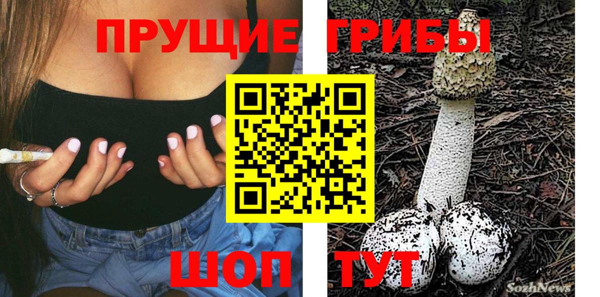 Сухой Лог  Псилоцибиновые грибы MAGIC MUSHROOMS  Галлюциногенные грибы Cubensis  Вход с VPN 